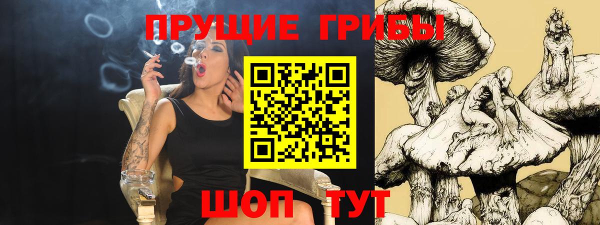 Галлюциногенные грибы мицелий  Вход с VPN  Кинешма 
